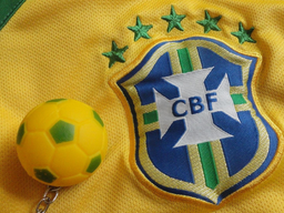 Como Usar a Copa do Mundo para Incentivar o Gosto Pela Leitura Infantil